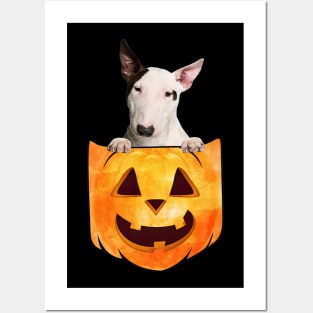 Bull Terrier Dog In Pumpkin Pocket Halloween Posters and Art